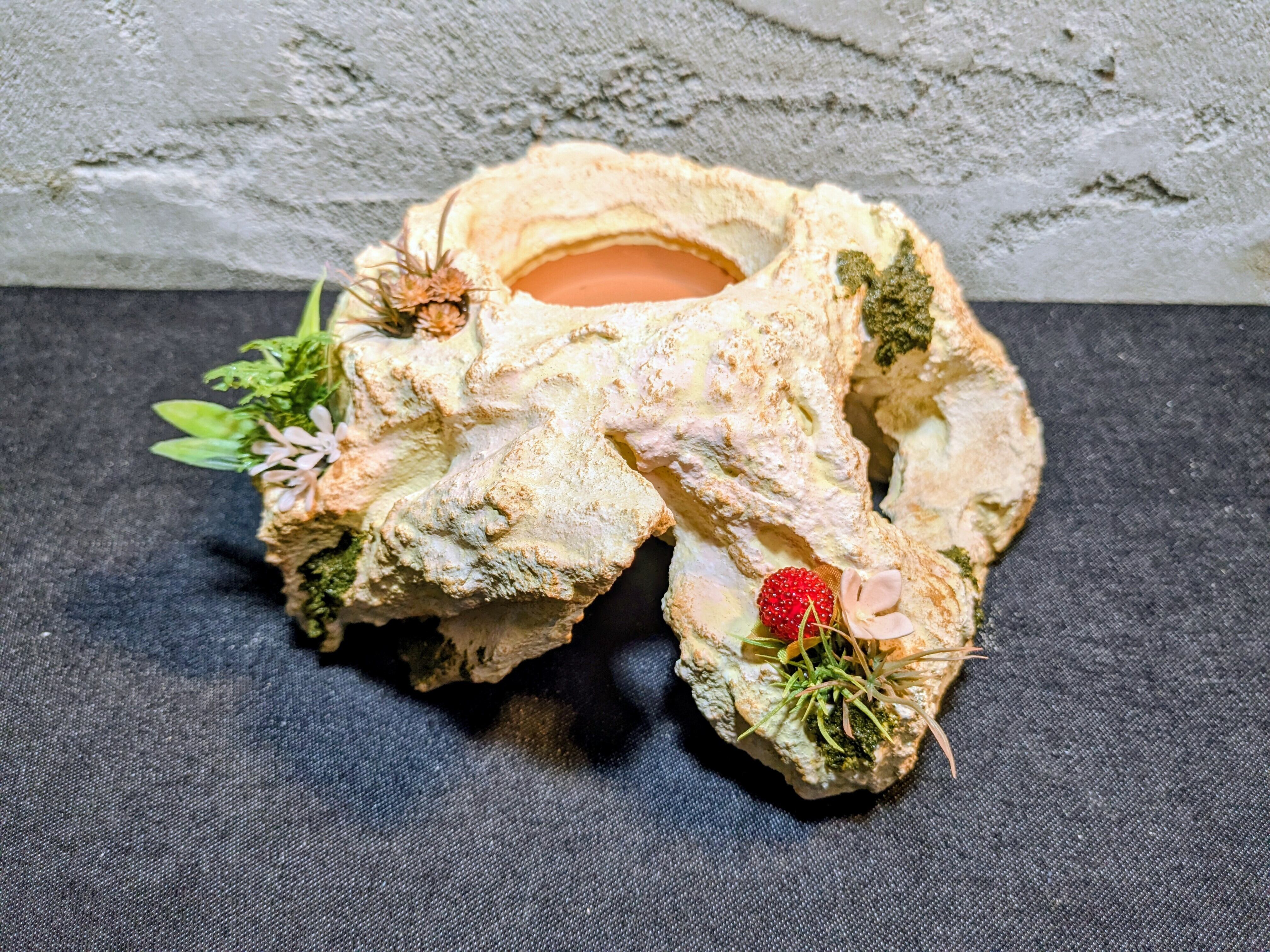 爬虫類用造形アート ともえ屋