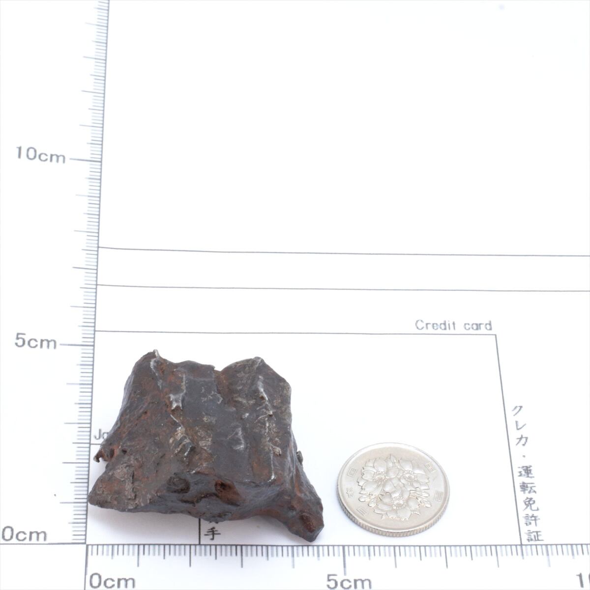 隕石 鉄隕石 アルタイ隕石 原皮付き 原石 重さ約105g Yahoo