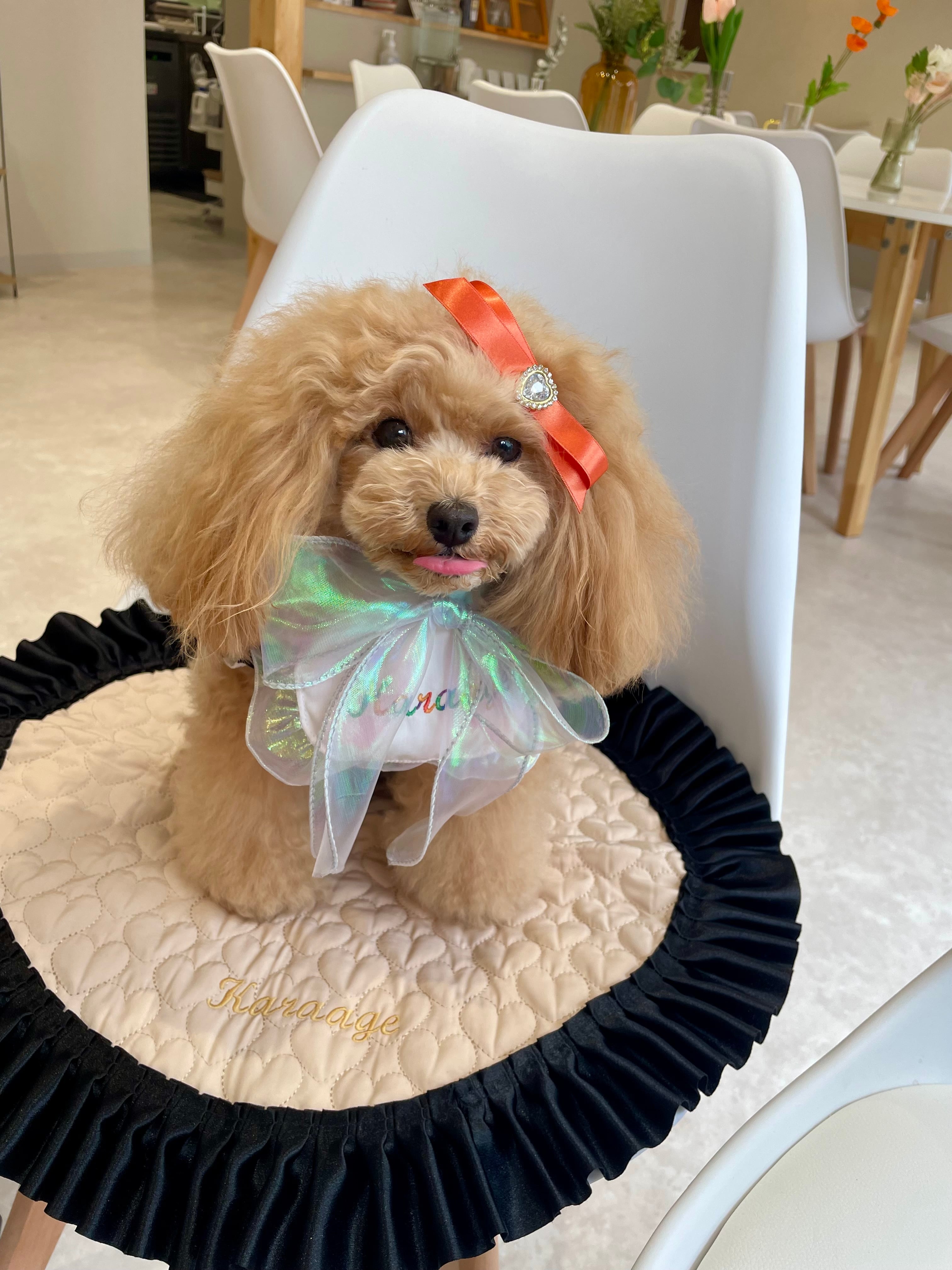 わんちゃんとセレブリティなひとときを♡ハンドメイド　カフェマット　ライトリラ CanNana カフェマット マット さくらんぼ チェリー 犬服