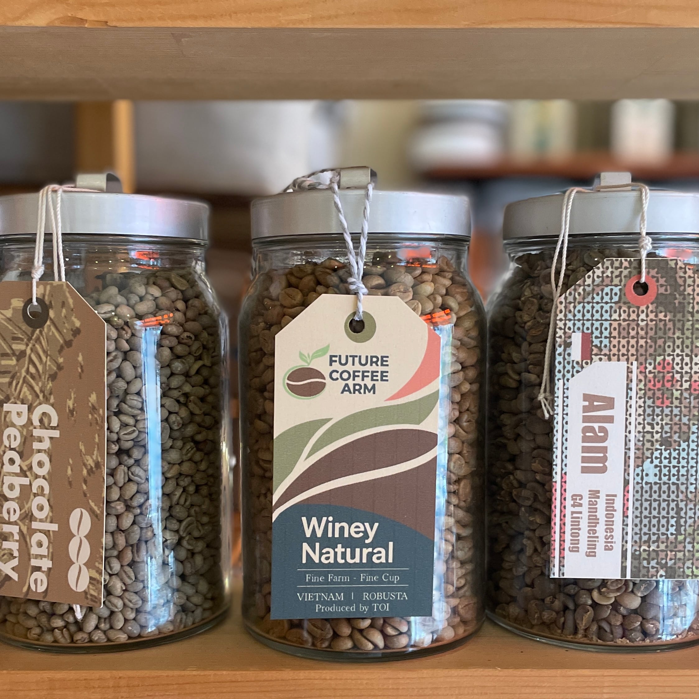 ベトナム：FUTURE COFFEE FARM【ロブスタ種】【ワイニー・ナチュラル