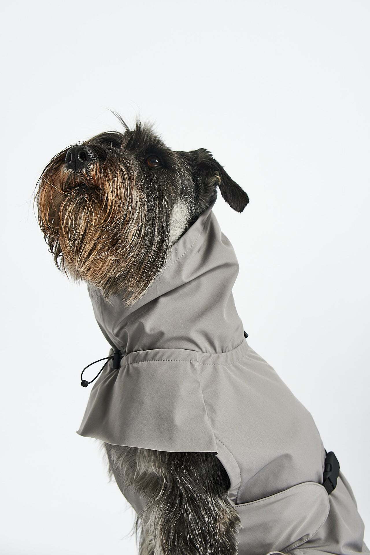 MiaCara Valentina - Rain Coat サイズ 1,2 | With Wanko