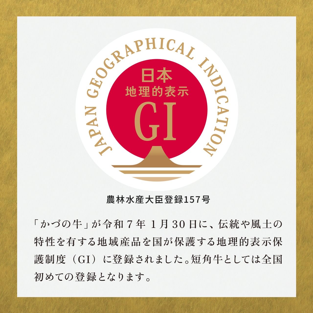 かづの牛(短角牛)  ハンバーグ【100ｇ/枚×5枚】