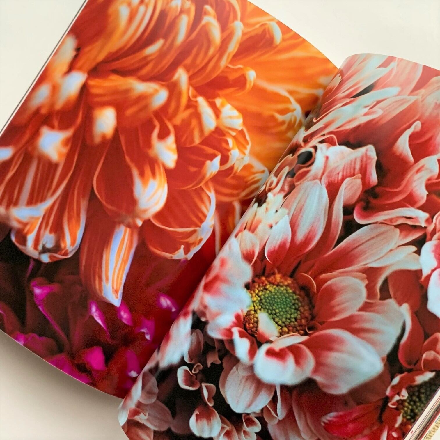 蜷川実花による蜷川実花 美術手帖915 本まるさんかくしかく 蜷川実花による蜷川実花 美術手帖915 本まるさんかくしかく