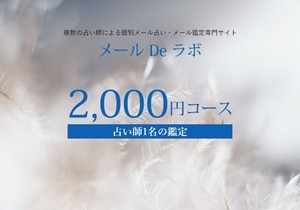 通常メール鑑定 2000円コース(占い師1名）