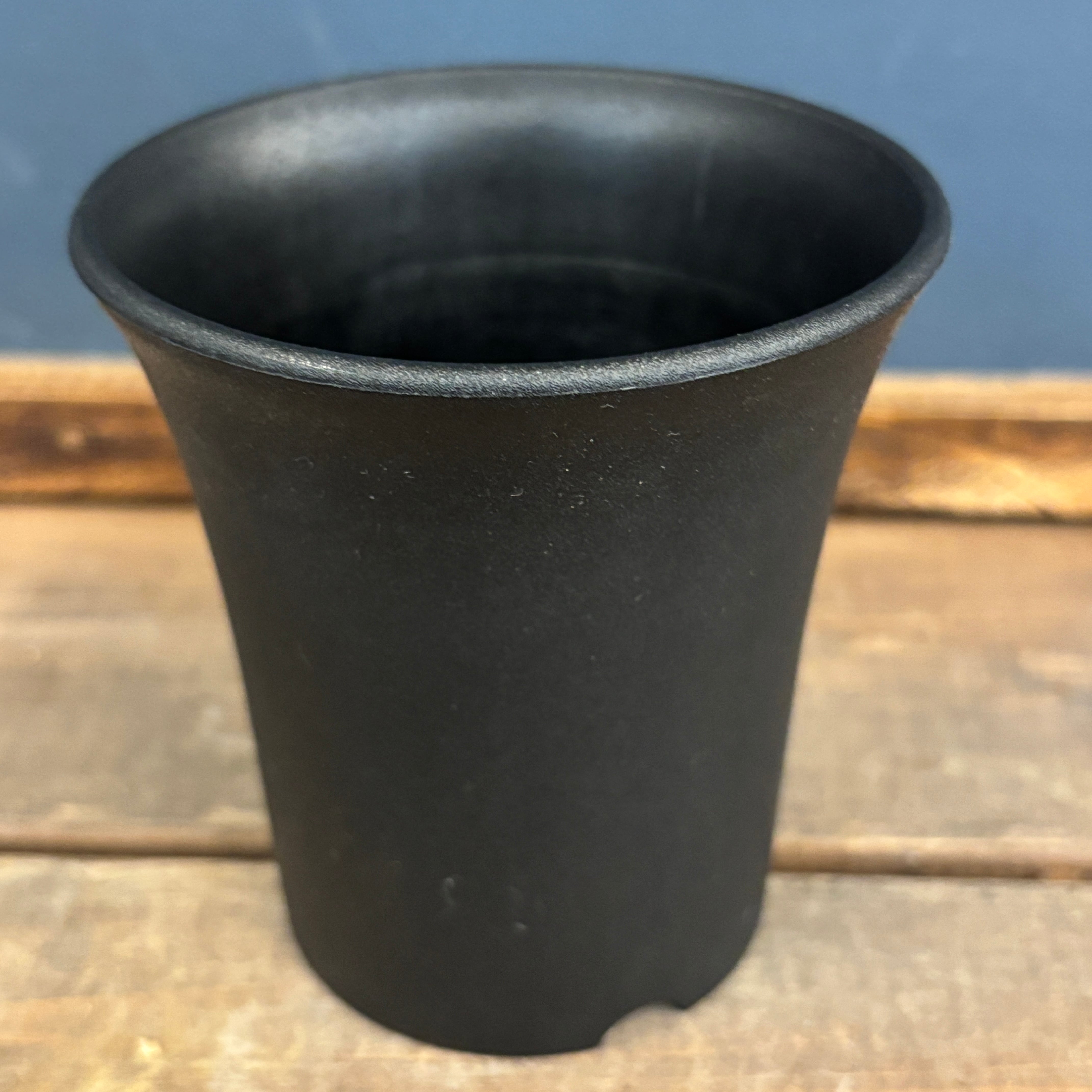 ミニラン鉢 3号