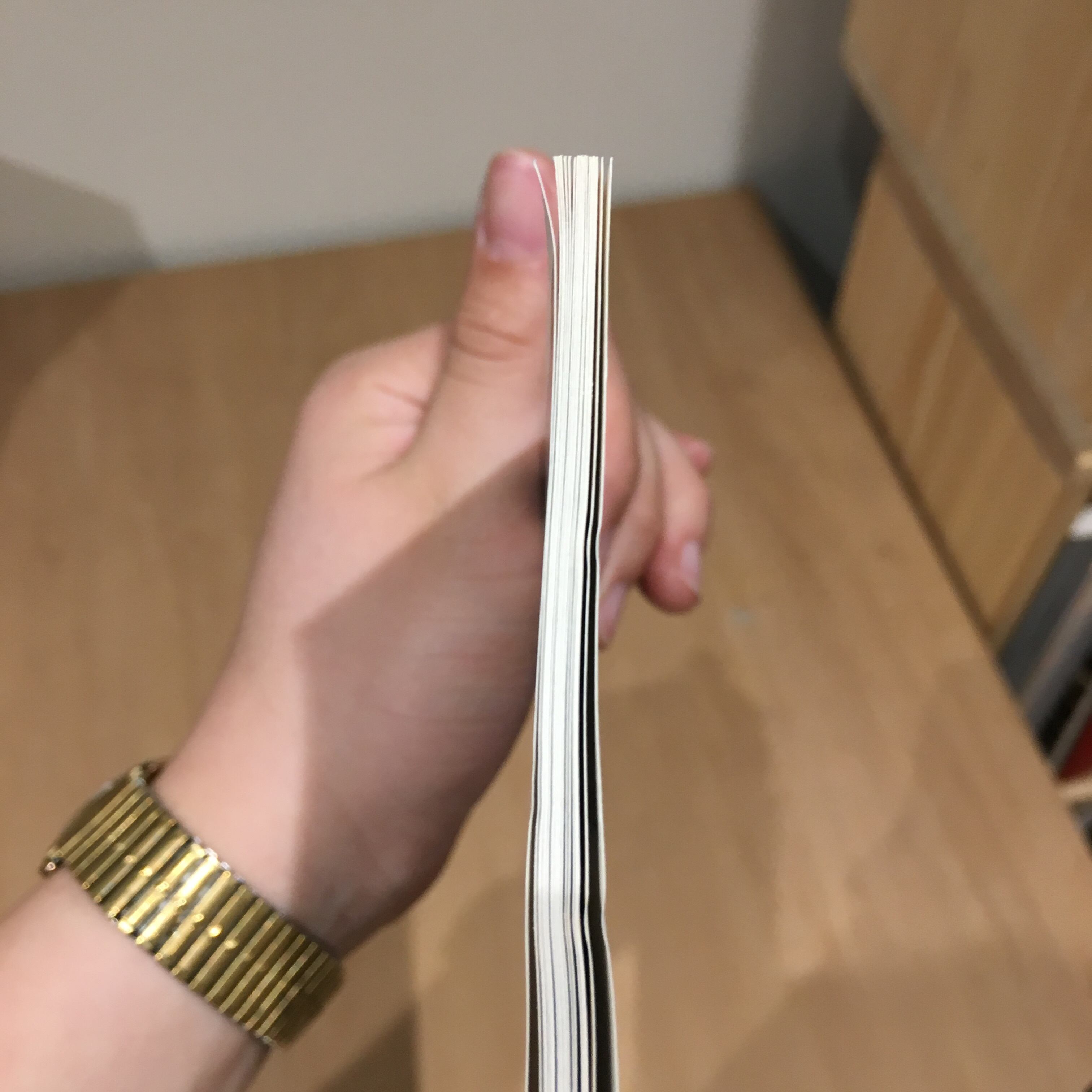 Maison Martin Margiela Book（BRUTUS #694 extra issue） | 百年