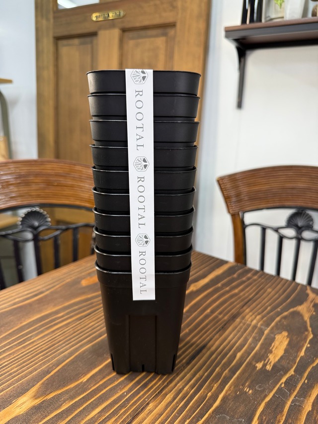 NIPPORI プレステラ深鉢105(3.5号)　ブラック　10個セット