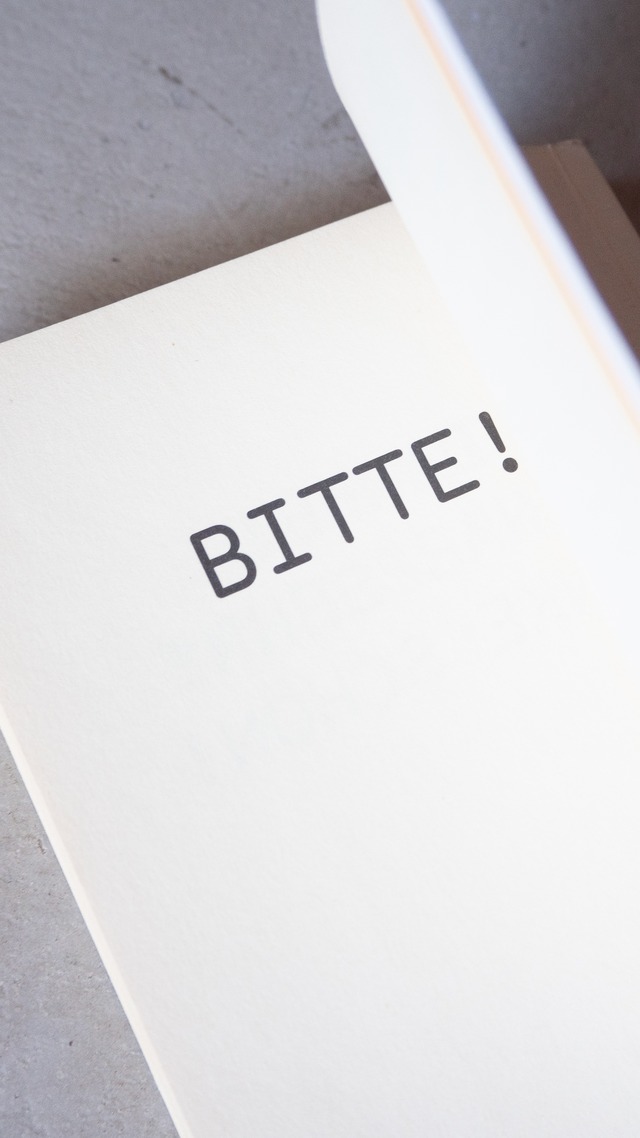 "GERMAN FOR ARTISTS" used Pocket book