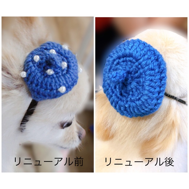 秋の装い ビーズ付き小型犬用ベレー帽 サイズm おしゃれ おでかけ 記念撮影 かぎ針編み Crochet工房haru