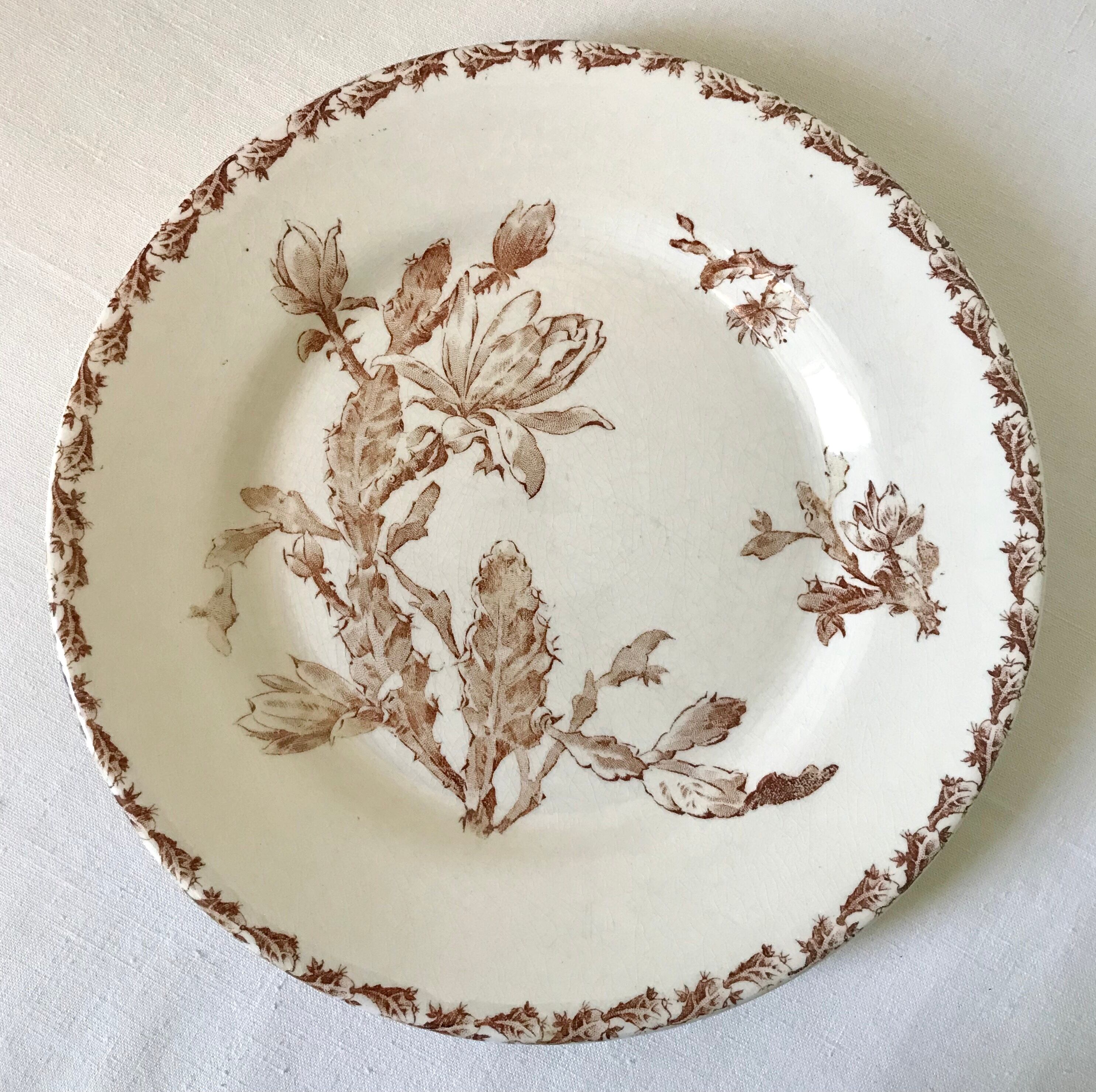 Gien cactus 平皿 antiquemanon フランスアンティーク Gienジアン ブラウンのサボテンの花 デザートプレートE