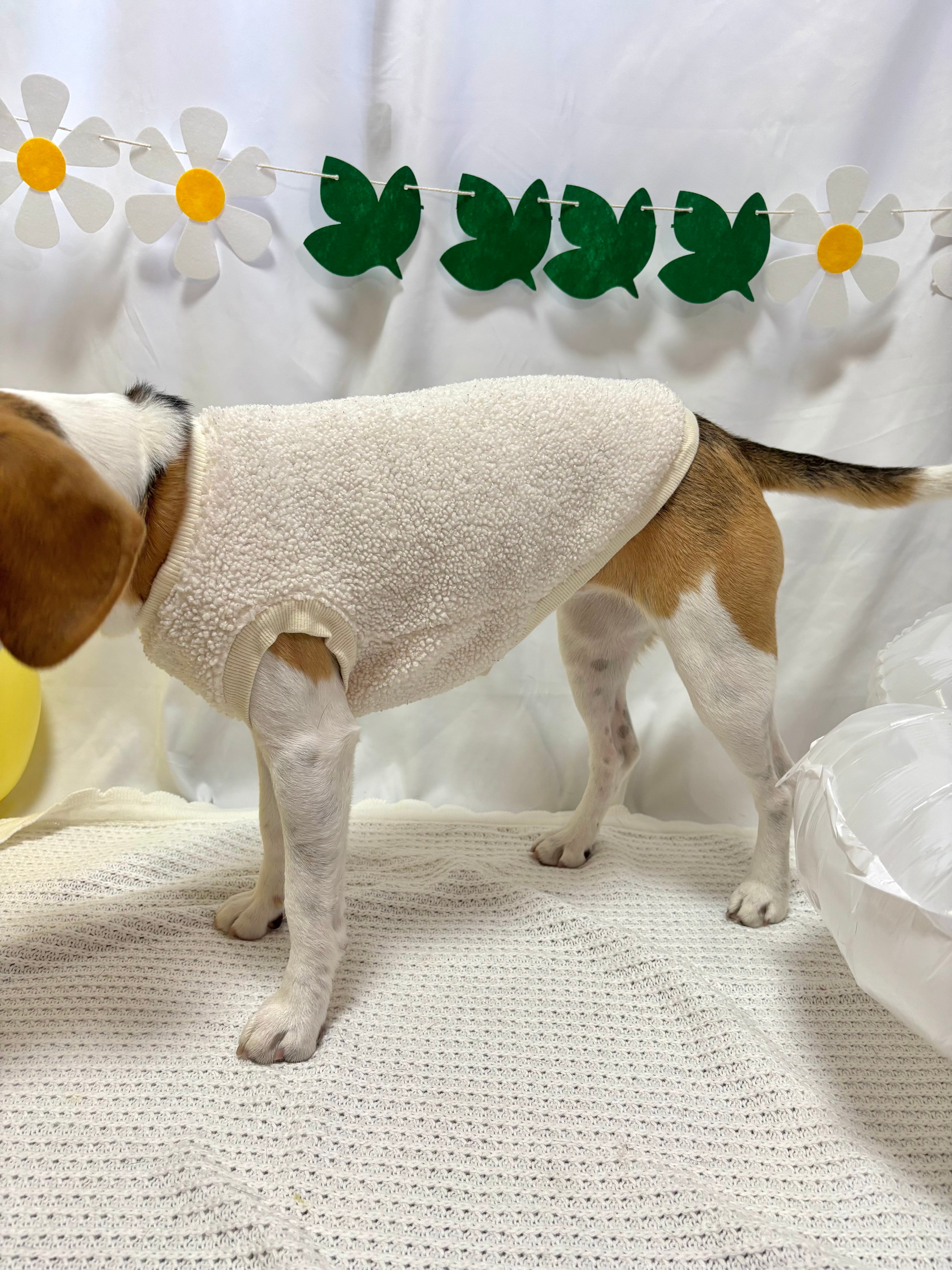 ホワイトシープボアトップス