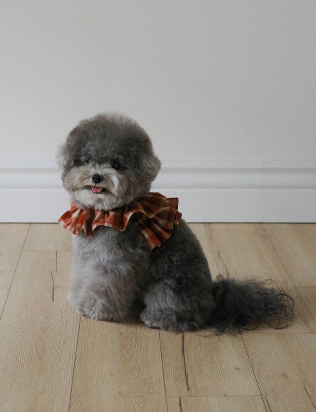 〈即納アイテム〉OHDIBS / capeness no.11 _ Brick Red