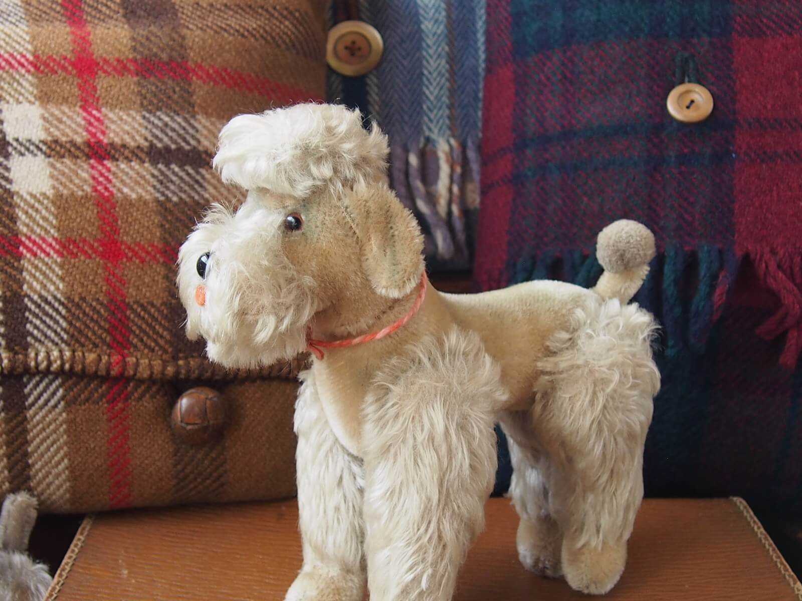 シュタイフ Poodle Snobby プードル 犬14cm オールIDs完品