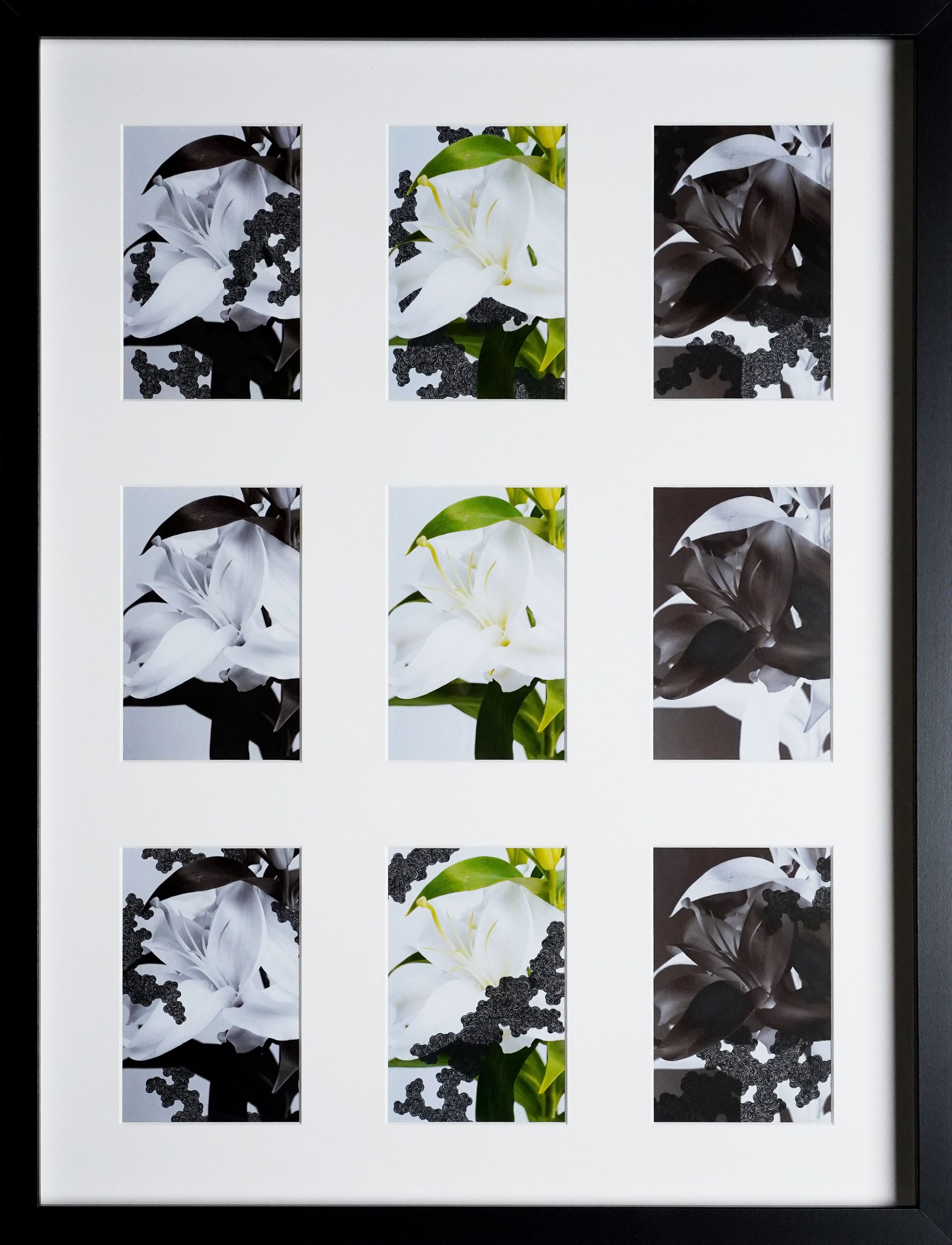 ユリ −あわいの構造をほどく