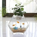 金魚鉢　水槽　テラリウム　花瓶　ガラス　透明　クリア　観葉植物　ガラス花器　おしゃれ　インテリア　卓上　玄関