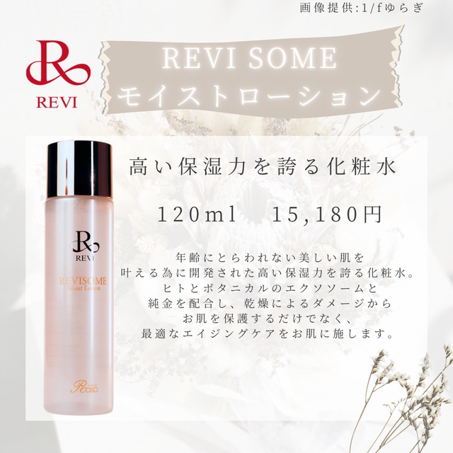 REVI ルヴィ モイストローション 化粧水 - 化粧水/ローション