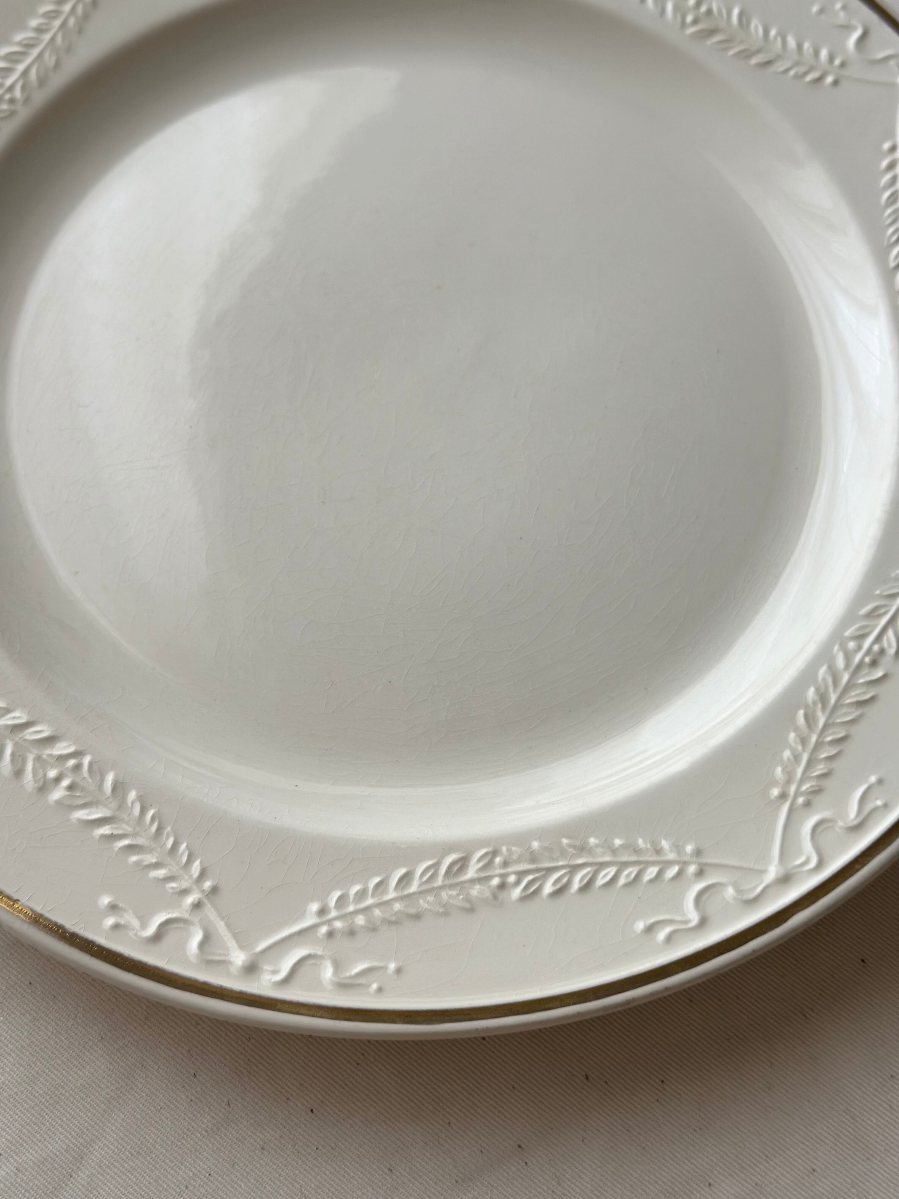 Badonviller バドンヴィレー / “RIVOLI” アイボリーの月桂樹