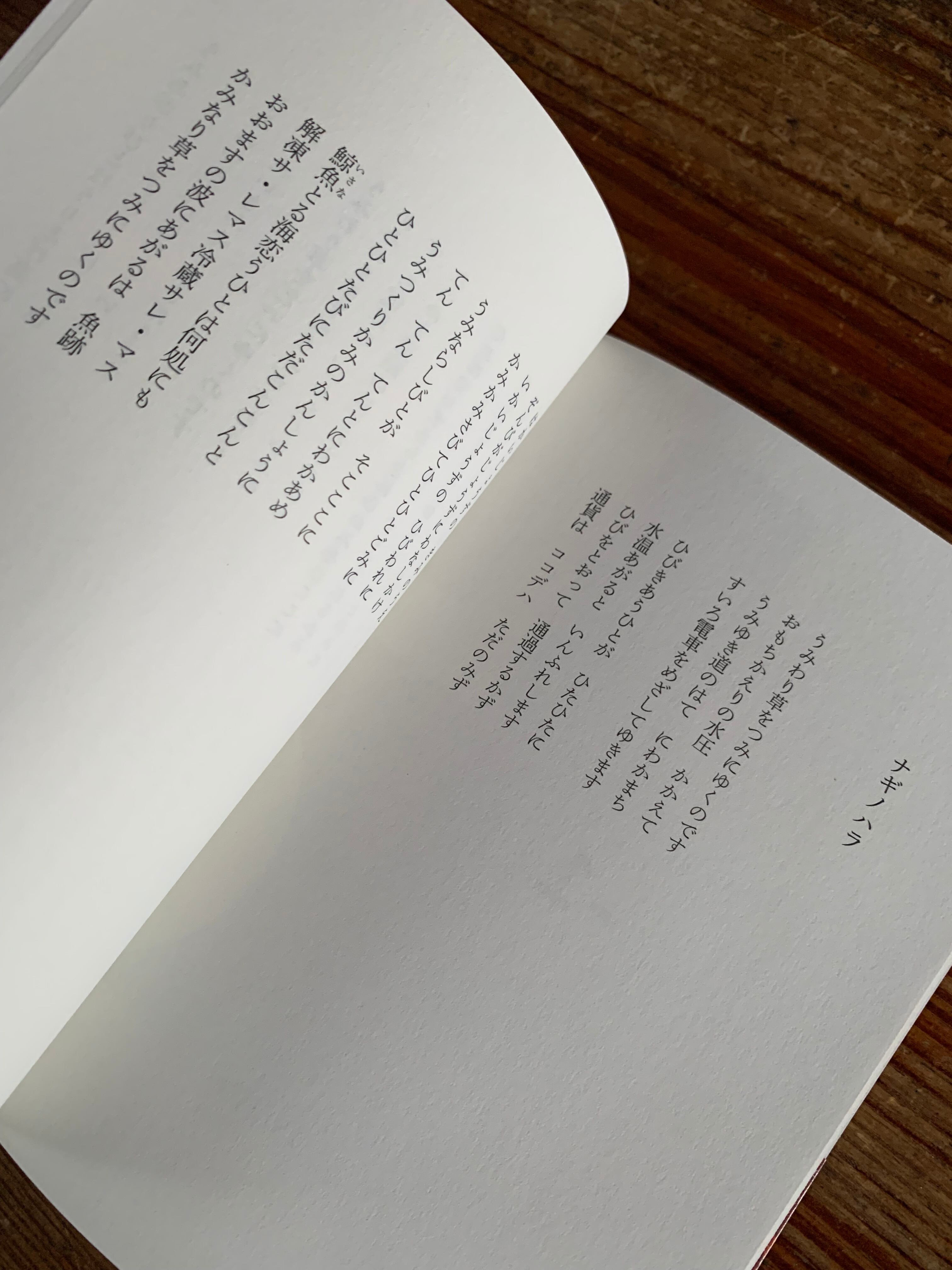 水無田気流 詩集『FULL L（ふるえる）』 | STANDARD BOOKSTORE