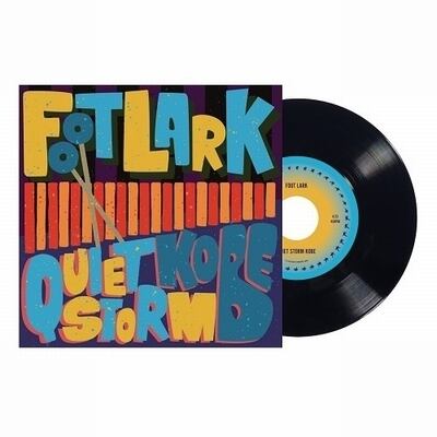 2LP】元ちとせ - 語り継ぐこと＜完全生産限定盤＞ | 北村電機レコード