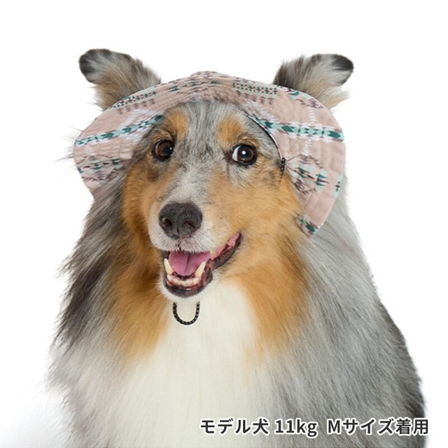 犬用帽子　ペット用帽子　オルテガハット [サイズ: L] [カラー: ベージュ]