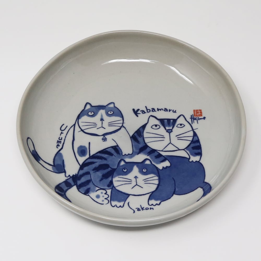 猫の大皿 猫皿(やんちゃ猫大皿)かばまるうるめさこん | マスノヤ衣料品店