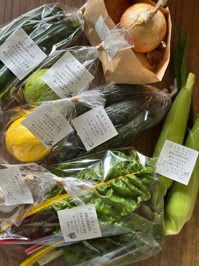 キラピカ旬野菜BOX７～8品【農薬化学肥料不使用】農の島＊大三島＊よりお届け！