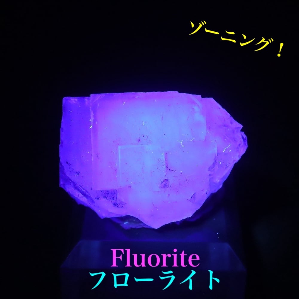 蛍石 ニューメキシコ産 フローライト 18.9g FL604 鉱物 天然石 原石