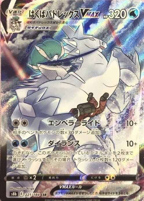 【美品】はくばバドレックスVMAX(CSR)