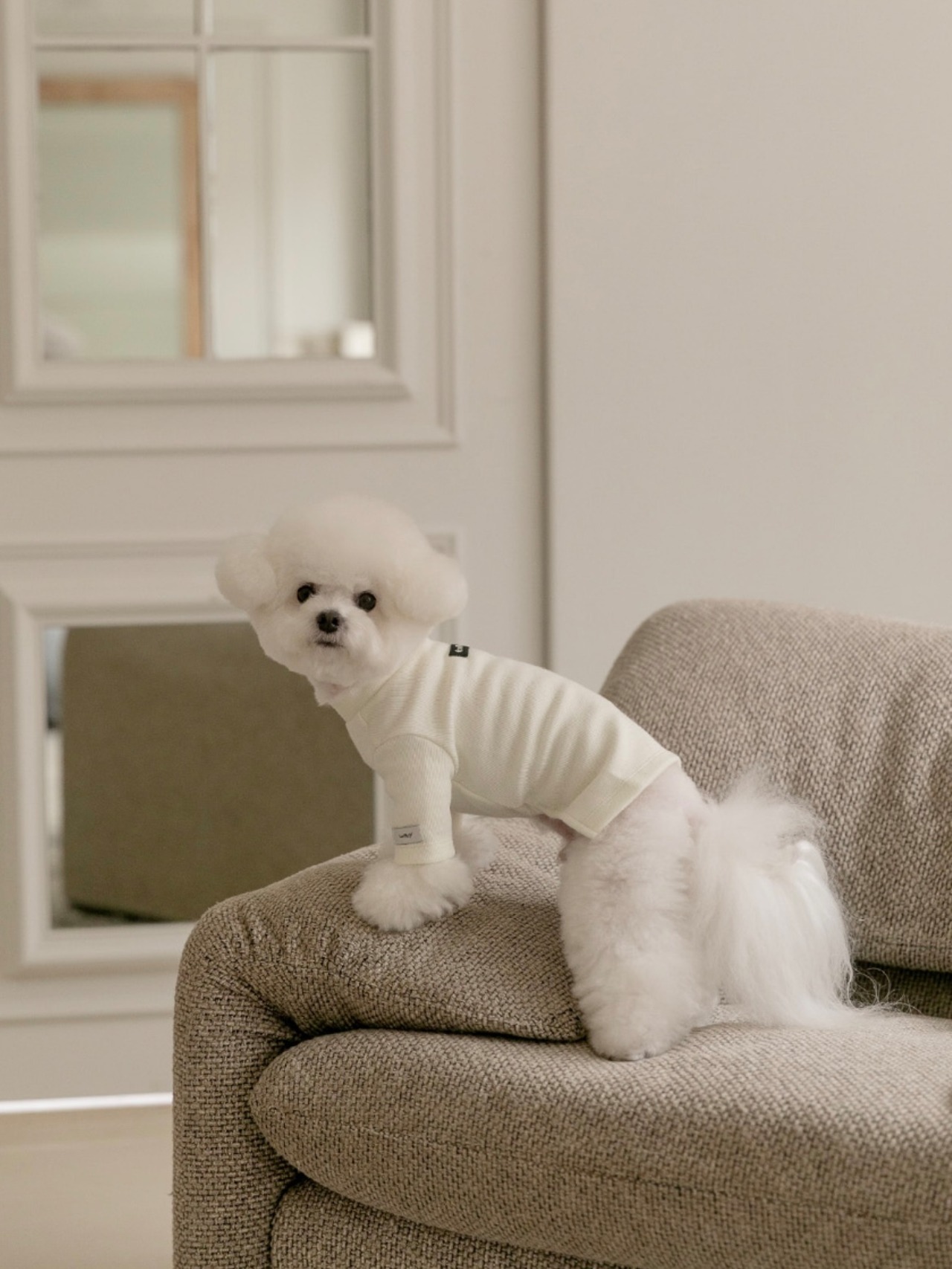 【TODLEY】New turtleneck(IVORY)
