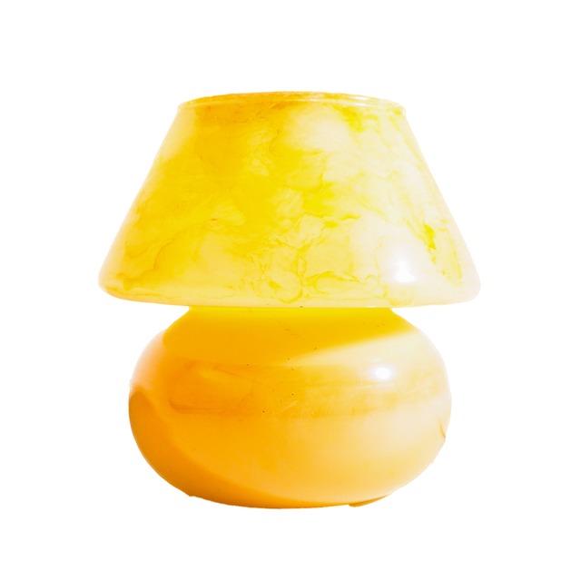 2008 Shade lamp with a wooden base