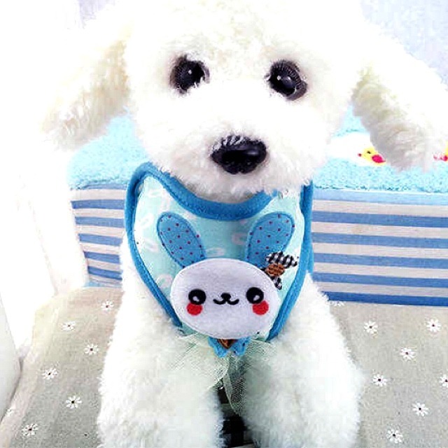 ハーネス リード 首輪♡ 犬 猫 ペット ブルーうさぎ:Ｓ.Ｌ