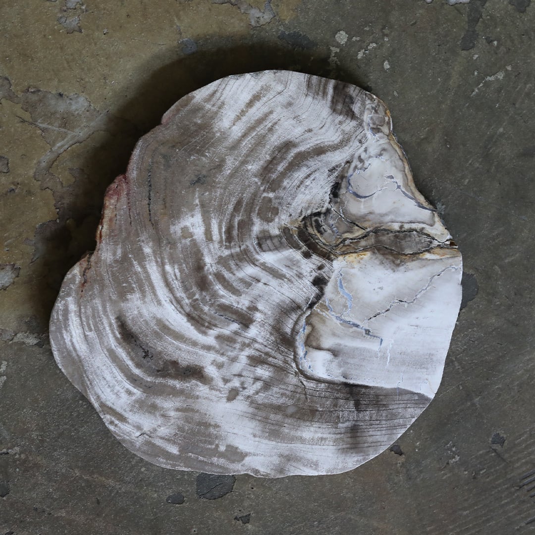 amabro (アマブロ) Wood Plate 20 Natural (プレート・コースター