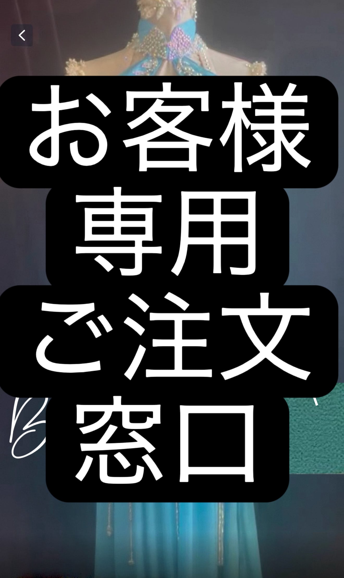 お客様専用 ご注文窓口 ベリーダンス オーダーメイド衣装 LY