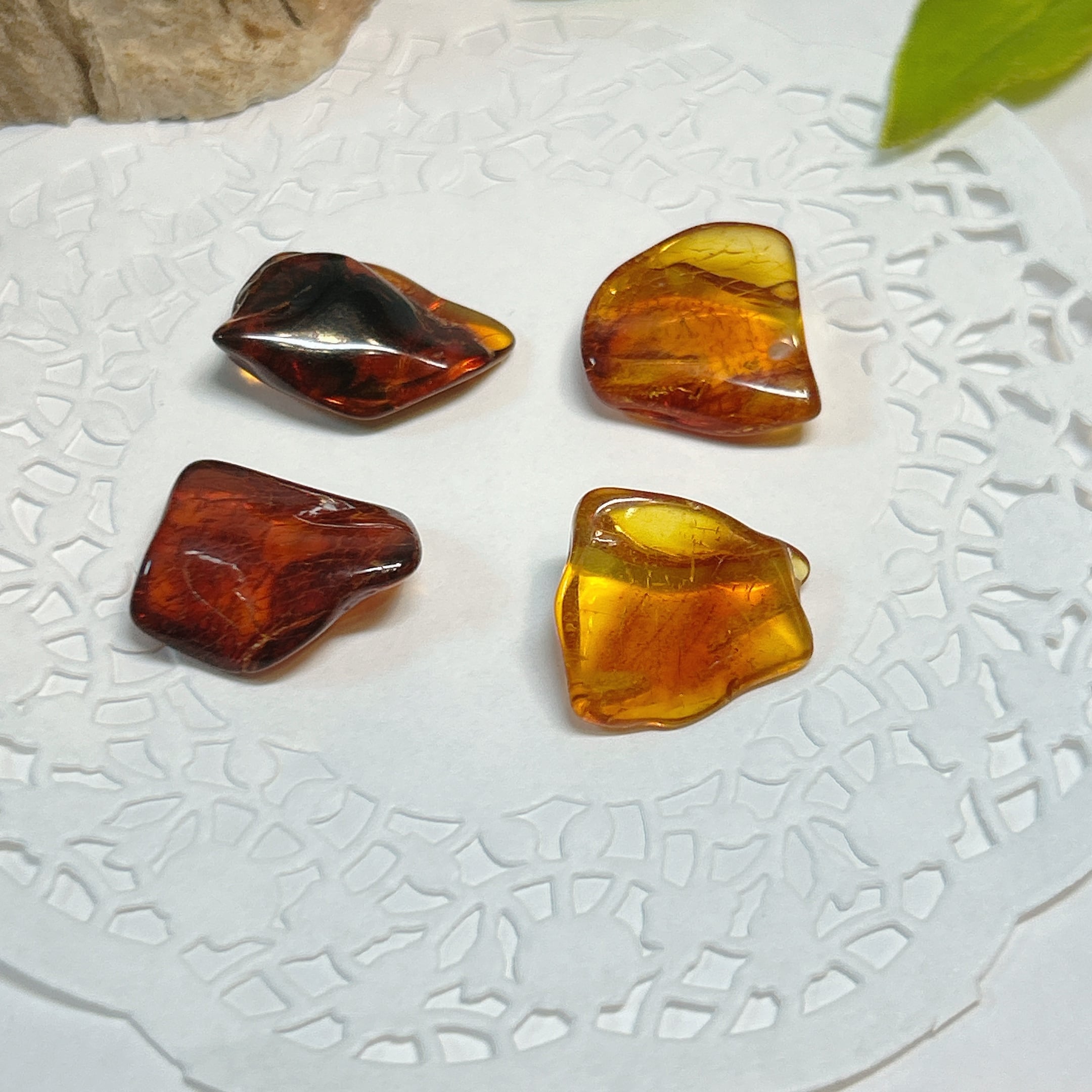 化石]琥珀・アンバー | クリスタル・ワールド御徒町店