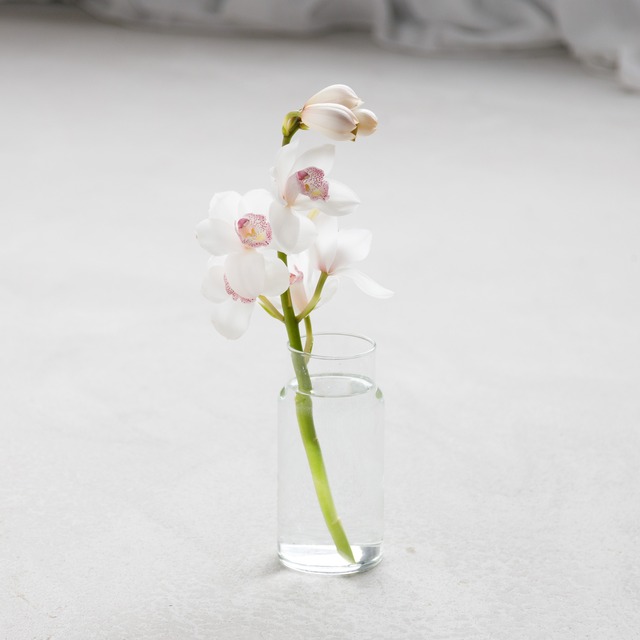 フラワーベース 球根ベース　バルブボトル【リューズガラス】