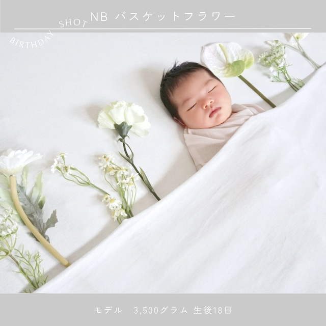 〈バスケット×フラワー〉ニューボーンフォト