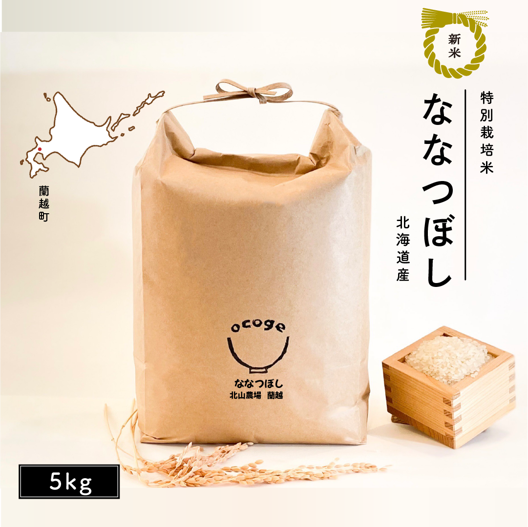 ななつぼし　5kg　特別栽培米　人気No.2　北海道産　令和5年産　ocoge