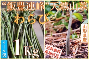 早期予約受付中　天然山菜　天然生わらび/１Kｇ　自然の恵み　限定予約販売　送料無料