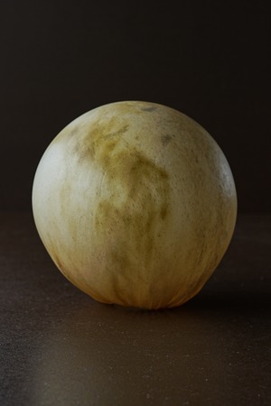 Mikio Ishiguro / Untitled