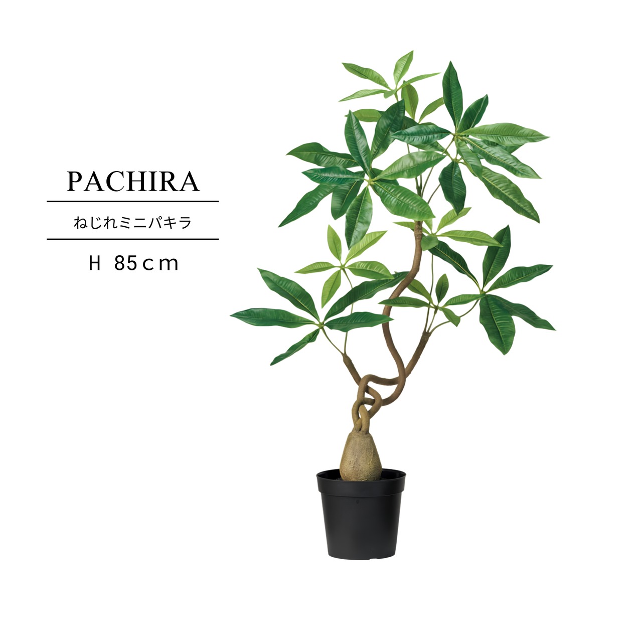 ねじれミニパキラ85㎝［人工観葉植物・フェイクグリーンT］
