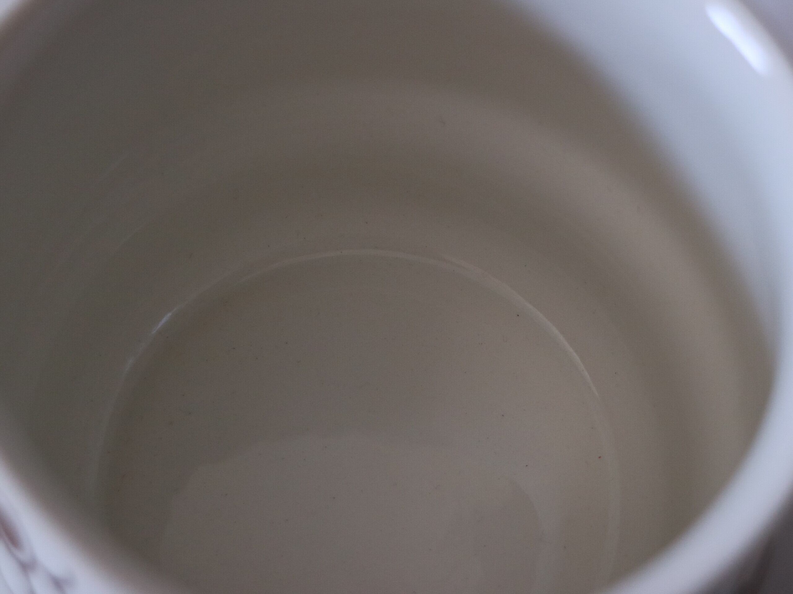 Rorstrand ロールストランド / ANEMON アネモン ピッチャー 大 No.3700