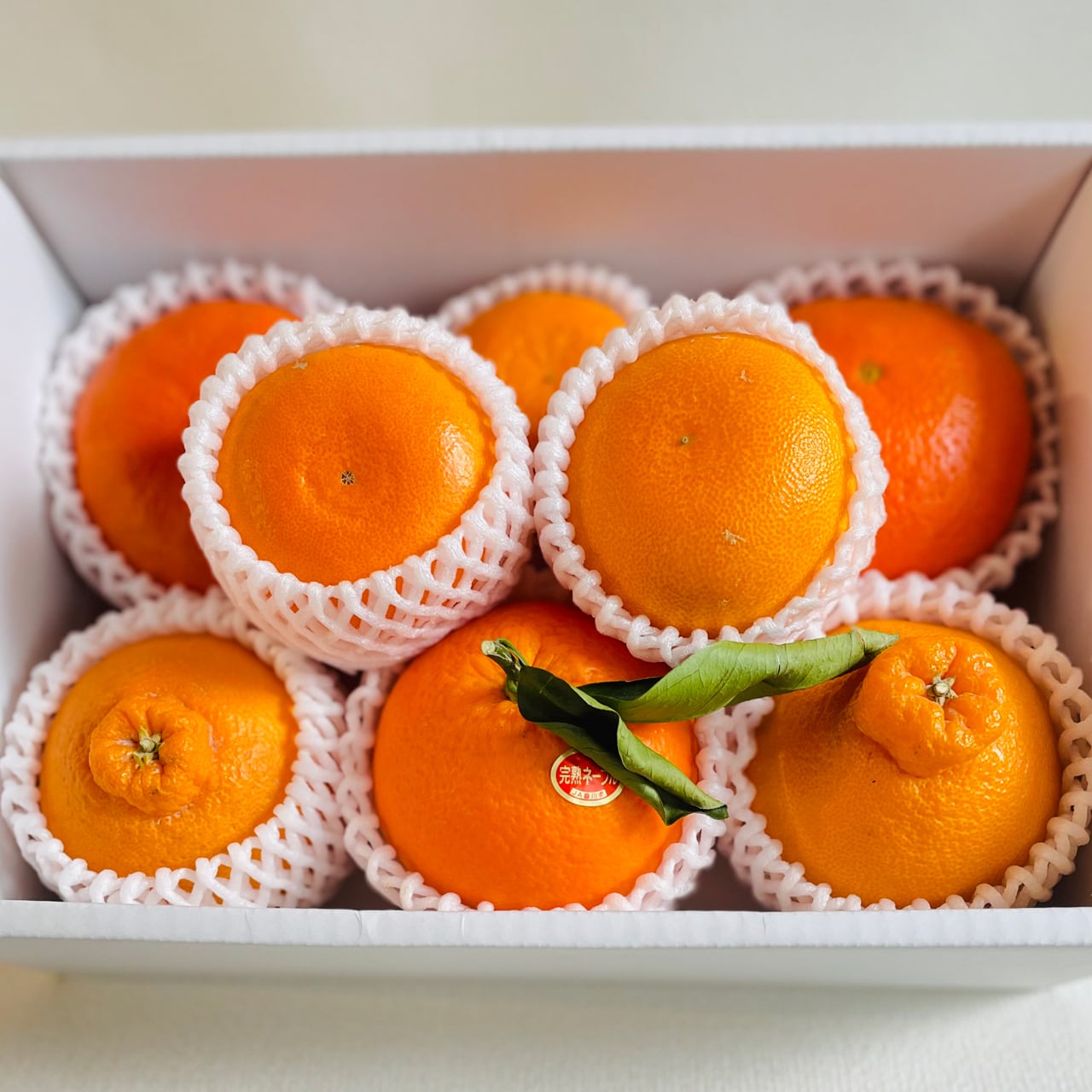 高級柑橘４種食べ比べセット　東商店・岡山の青果店