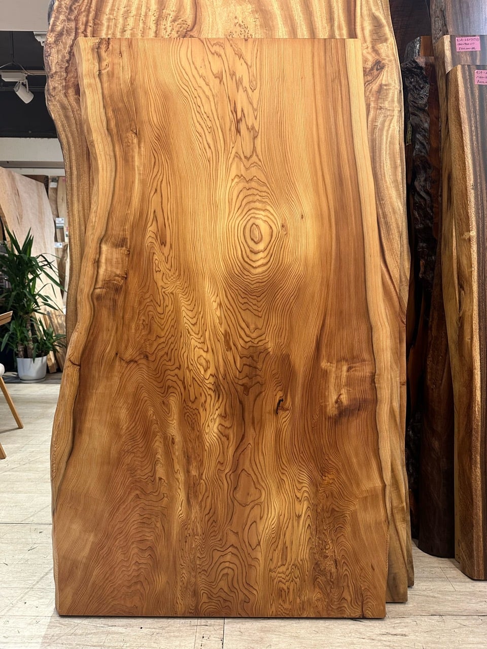 野サン）400年生 天杉 銘木 杉スギ 椙 すばらしい杢 カウンター テーブル Premium】屋久杉（ヤクスギ）_900×800×65_青山店_テーブル天板/バール