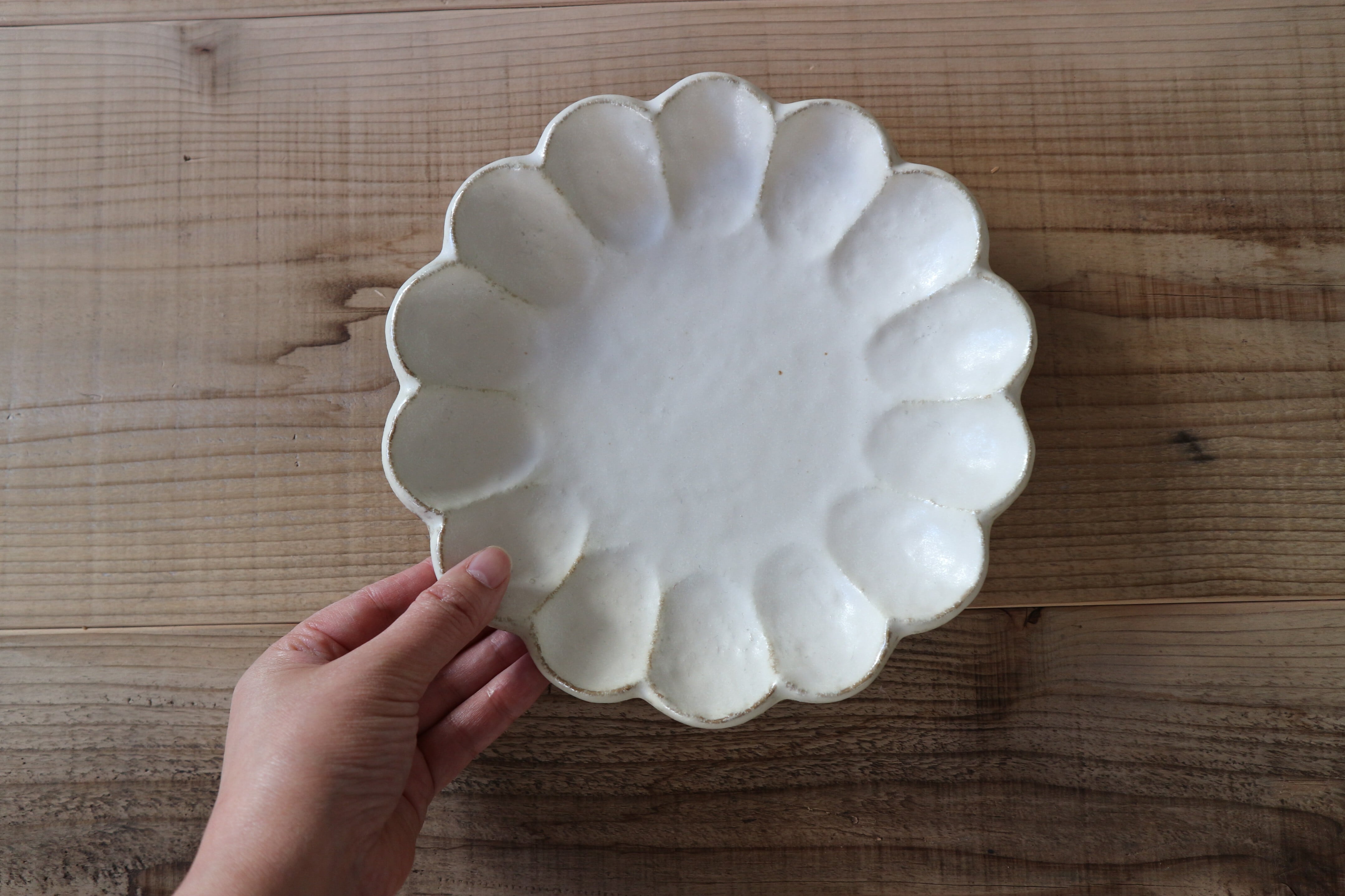 カネコ小兵製陶所 | 輪花(リンカ)21cmプレート