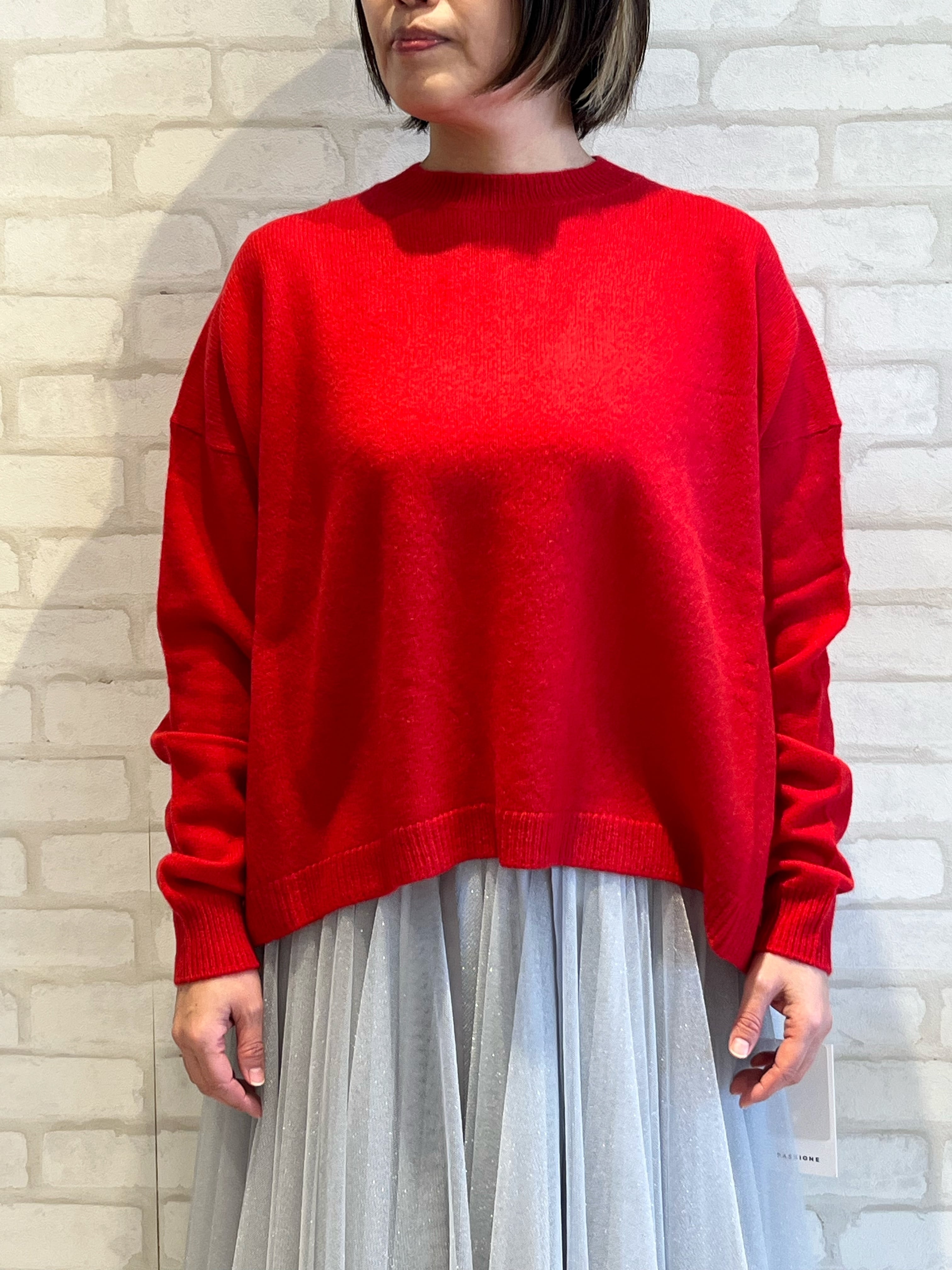 PASSIONE/546946/カシミヤクルーネックニット(レッド) | QREEQ