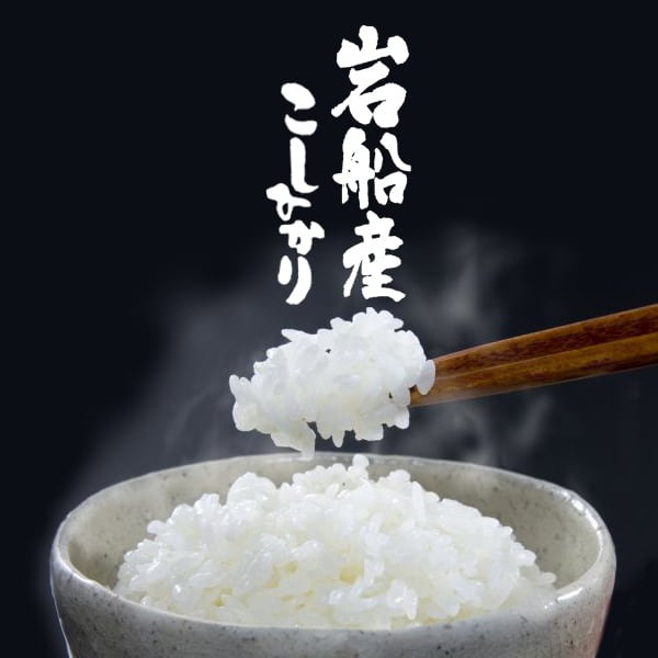 新潟米 令和7年産]岩船朝日産コシヒカリ 5kg 岩船山育ち | 越後米蔵商店