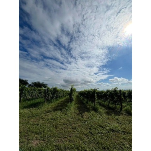 年末年始籠城セット　長期戦