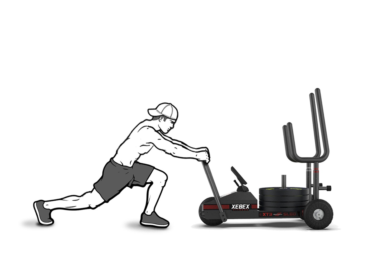 XEBEXウィルパワースレッド　XT3V2