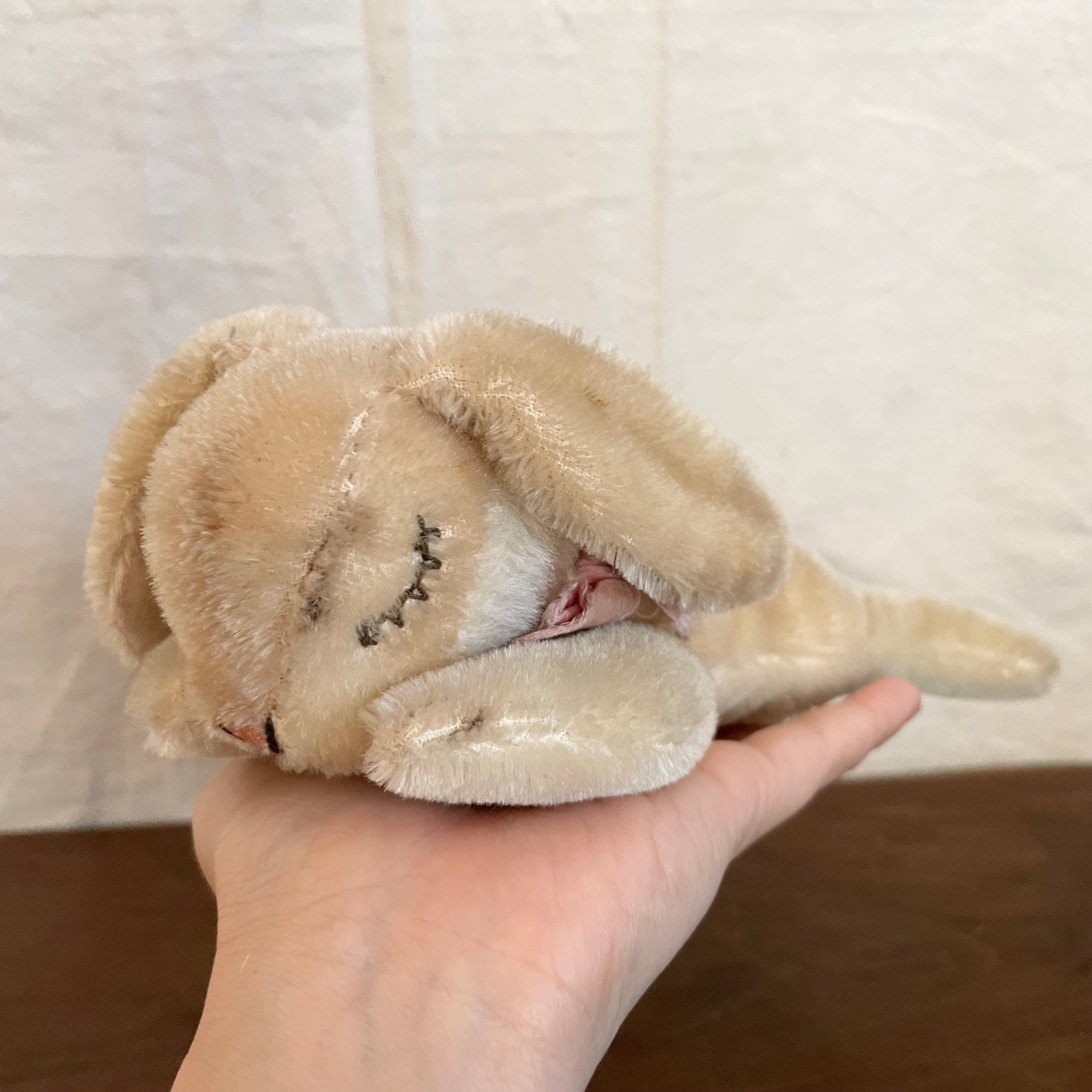 シュタイフのおやすみラビット | tsuitachi craft&brocante