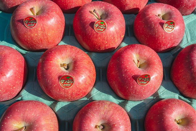 サンふじ  贈答用　5kg